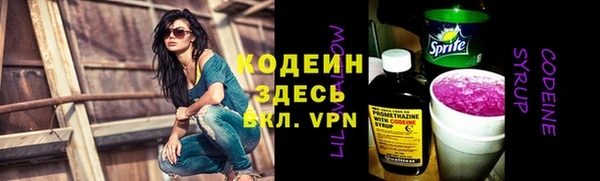 хмурый Инсар