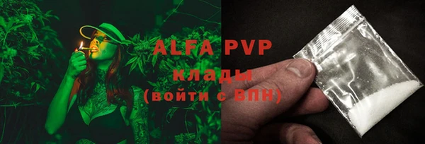 хмурый Инсар