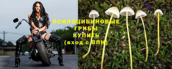 ECSTASY Иннополис