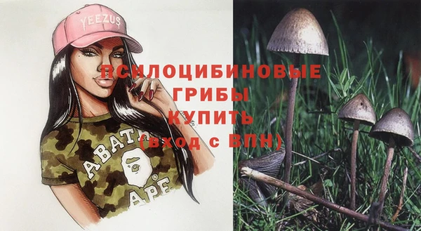 мет Инта