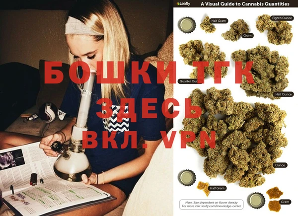 мет Инта