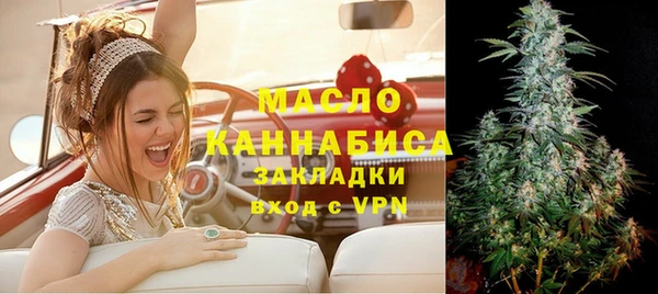 мет Инта