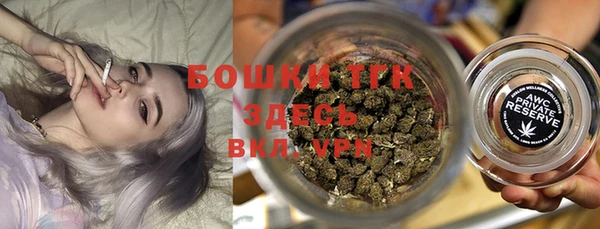 хмурый Инсар