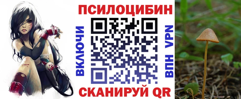 Купить где Верхняя Пышма Псилоцибиновые грибы прущие грибы